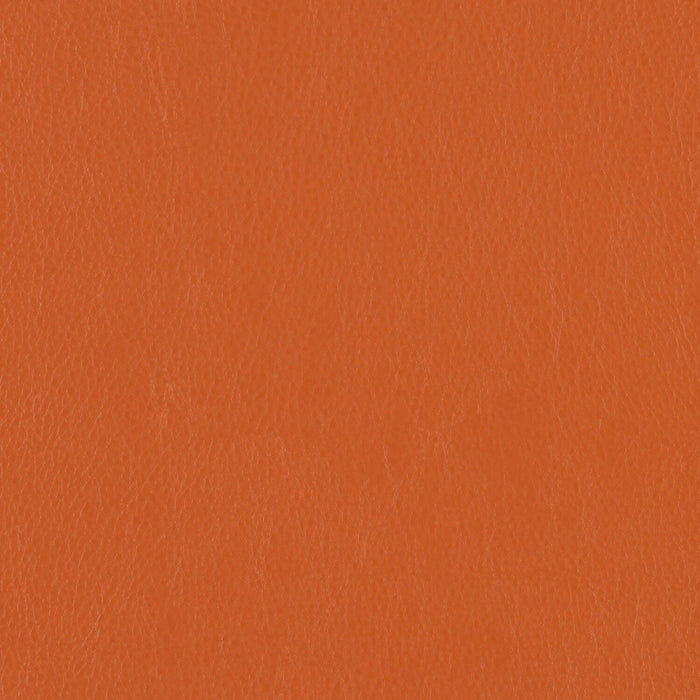 Decoy - Cahoots - 4087 - 23 - Half Yard