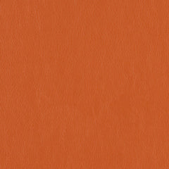 Decoy - Cahoots - 4087 - 23 - Half Yard