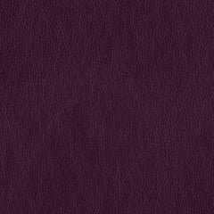 Decoy - Figment - 4087 - 19