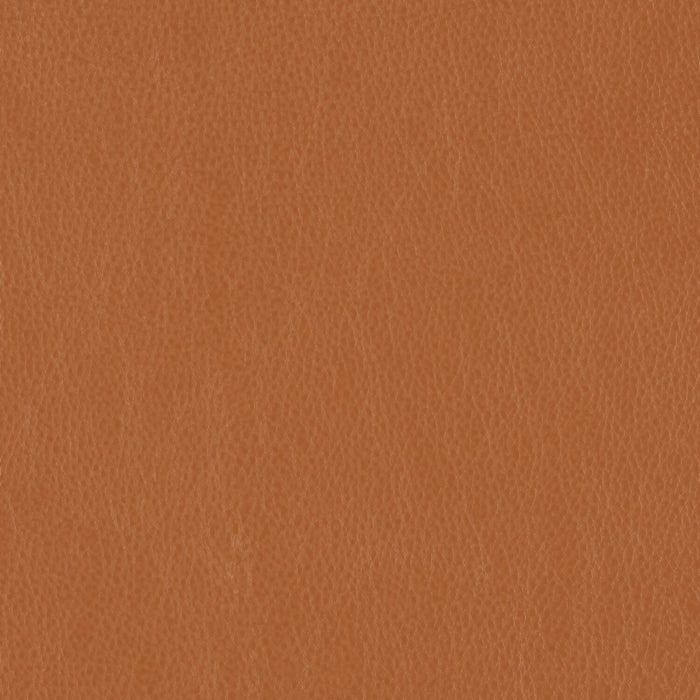 Decoy - Synonym - 4087 - 24