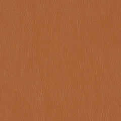 Decoy - Synonym - 4087 - 24