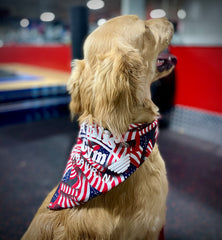 Dog Bandana