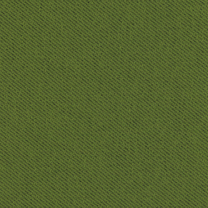 Ecotone - Mangrove - 4092 - 15