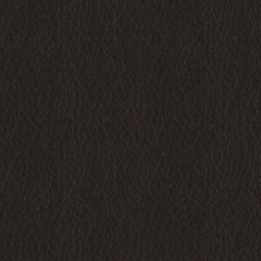 Pela - Pitch - 4024 - 21