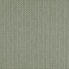 Welded - Synergy - 4095 - 10 - Half Yard