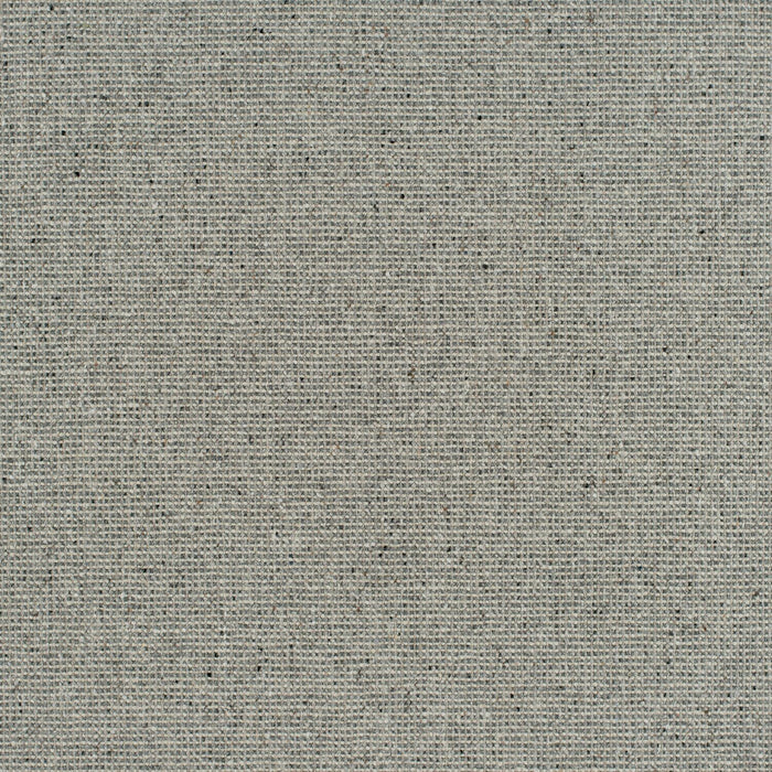 Wool Fleck - Micrite - 4099 - 04