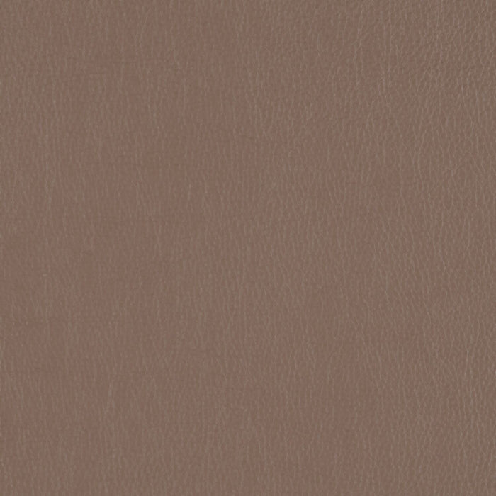 Decoy - Emulate - 4087 - 43 - Half Yard