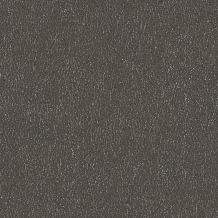 Decoy - Façade - 4087 - 06 - Half Yard