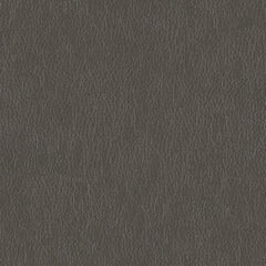 Decoy - Façade - 4087 - 06 - Half Yard