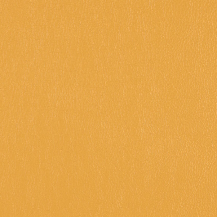 Decoy - Fool's Gold - 4087 - 35 - Half Yard