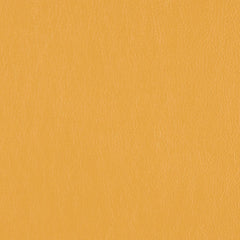 Decoy - Fool's Gold - 4087 - 35 - Half Yard