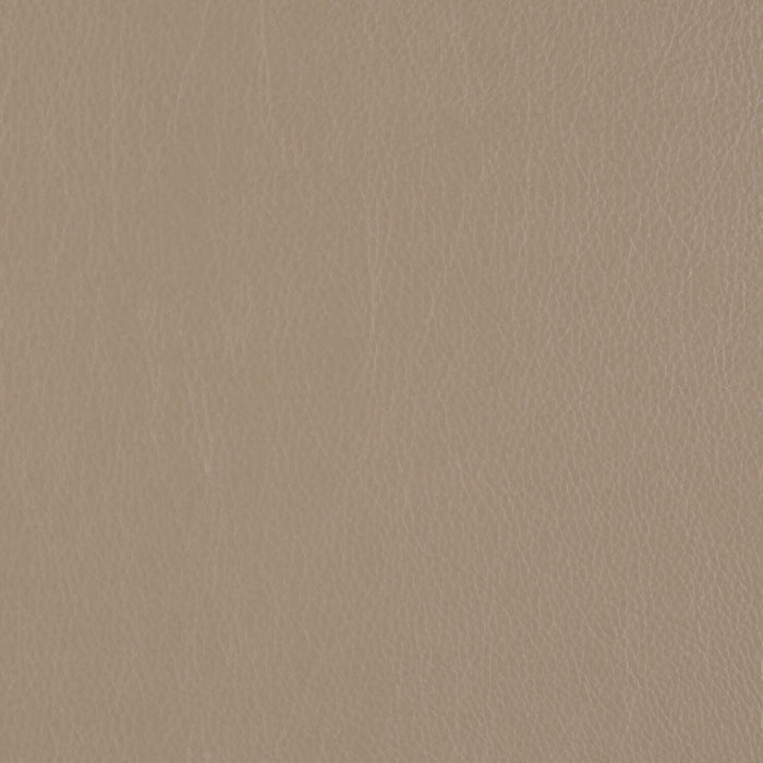 Decoy - Replay - 4087 - 44 - Half Yard