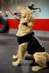 Dog Shirt