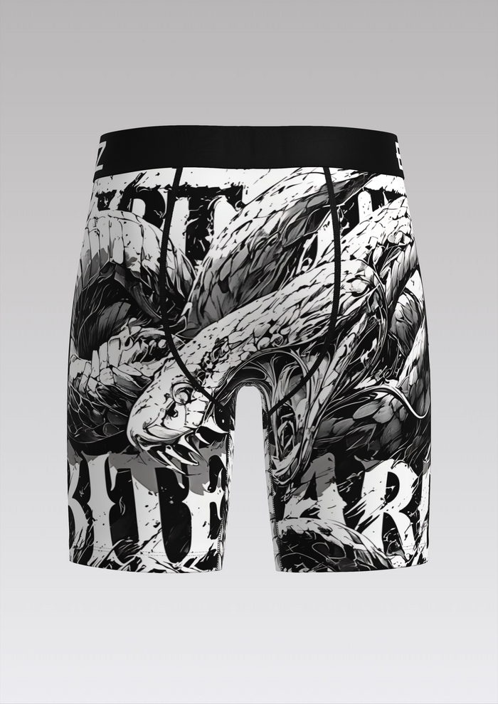 Dragon Fury - Men's Boxer Briefs