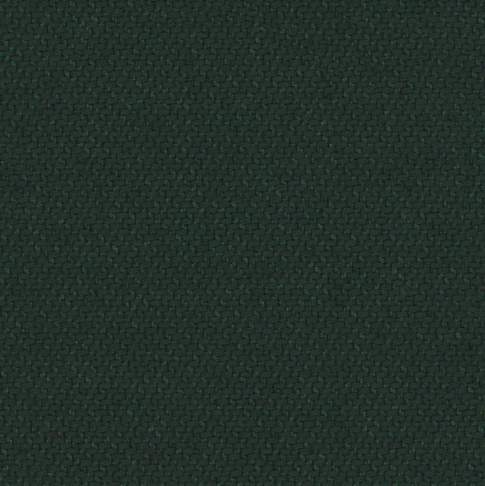 Ecotone - Treeline - 4092 - 16