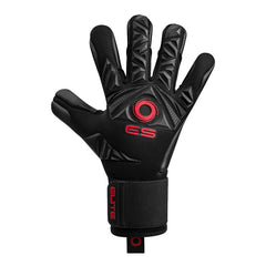ELITE SPORT Revolution II BR Goalkeeper Gloves