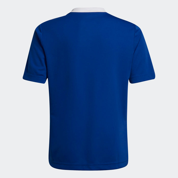 ADIDAS Entrada 22 Jersey Youth