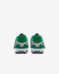 NIKE Jr Tiempo Legend 10 Academy FG/MG - HJ7190 300