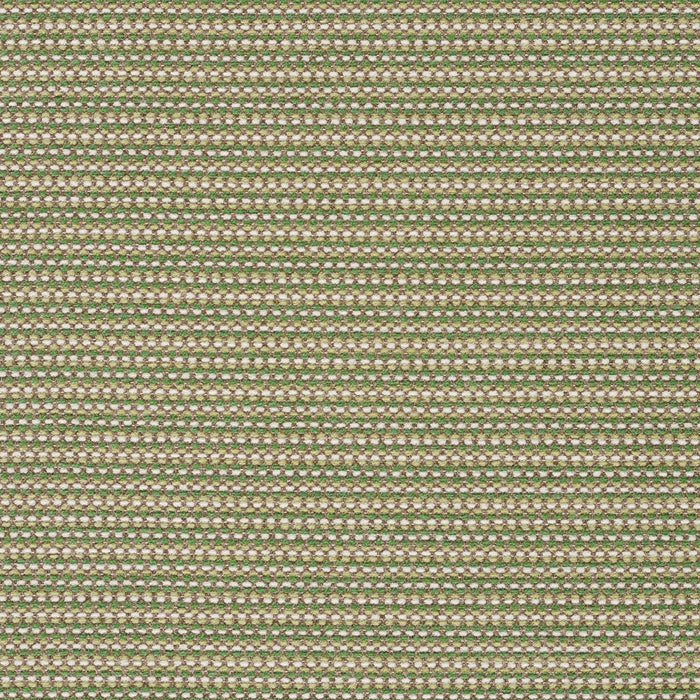 Megapixel - Seedling - 4097 - 06
