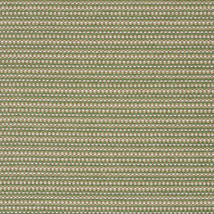 Megapixel - Seedling - 4097 - 06