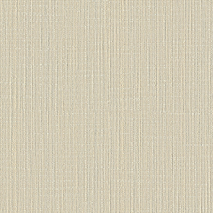 Particulate - Light Speed - 4109 - 02