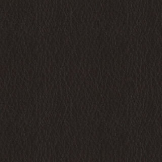 Pela - Pitch - 4024 - 21