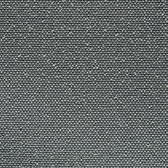 Rhetoric - Pathos - 7017 - 06