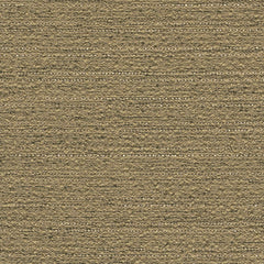 Situ - Grain - 4029 - 10 - Half Yard
